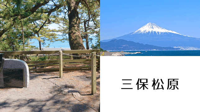 富士山が見える絶景スポット！三保松原にお出かけしてみた